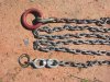 Chain set up by game-dog.jpg