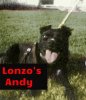 lonzos Andy by mccrawa Snowball x johnsons Black Lil (1).jpg