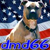 dmd66