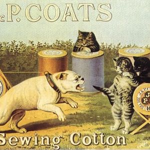 Cotton ad